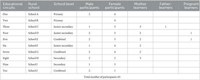 Learners' perspectives on the prevention and management of pregnancy school dropout: a Namibian case